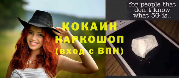хмурый Сосновый Бор