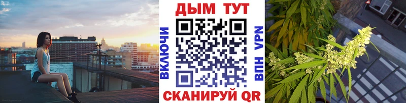 Бошки Шишки SATIVA & INDICA  где купить наркотик  Гаджиево 
